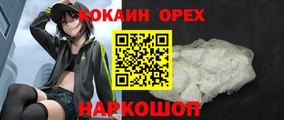 сатива Будённовск