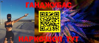 сатива Будённовск