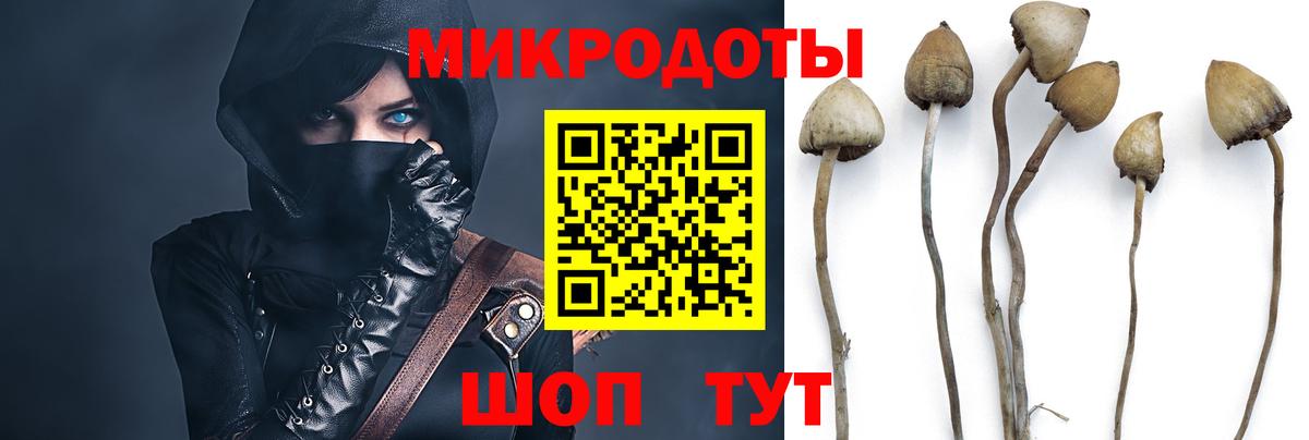 Псилоцибиновые грибы Cubensis  Псилоцибиновые грибы Cubensis  Шахты  Вход с VPN 